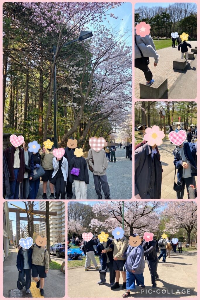 北海道神宮でプチお花見🌸