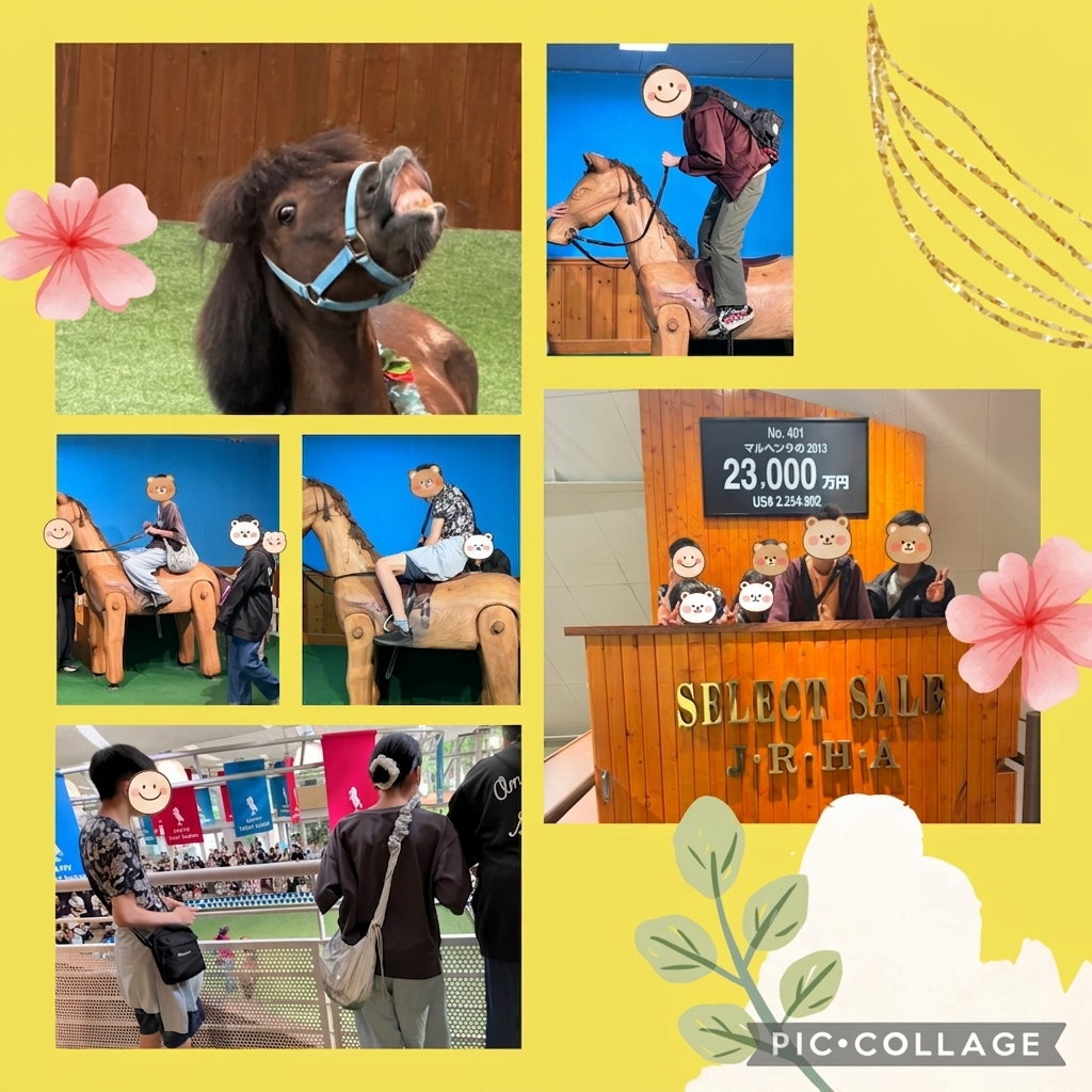 ノーザンホースパークに行ってきました🐎