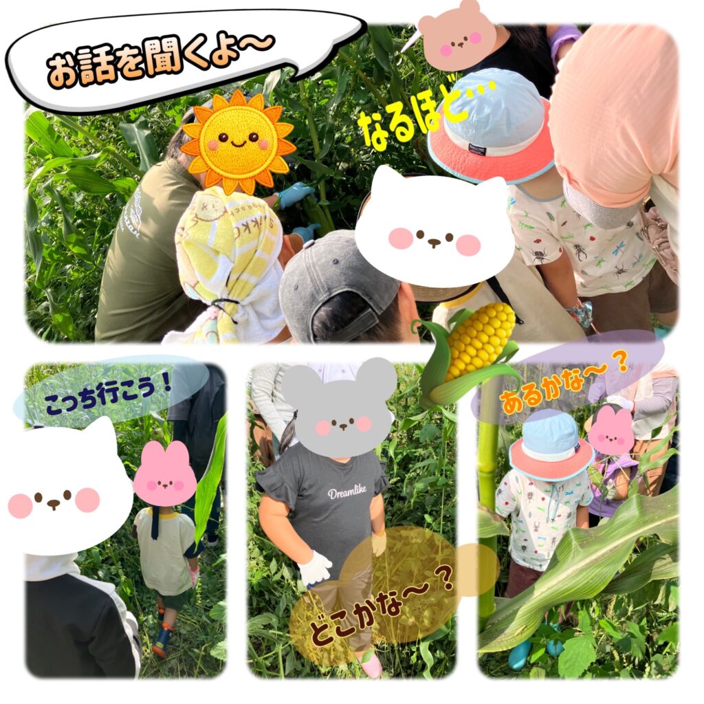 収穫体験をしました🌽