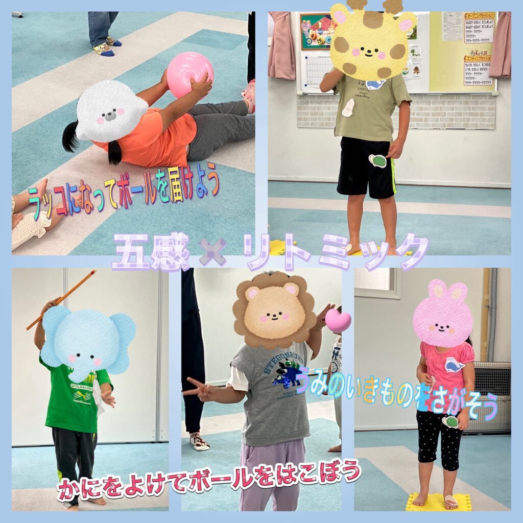 海の世界へレッツゴー🐠🐚
